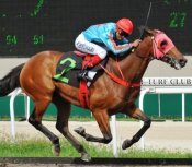 Bigcat Rhapsody makes a bold bid before opening his account on Sunday.<br>Photo by Singapore Turf Club